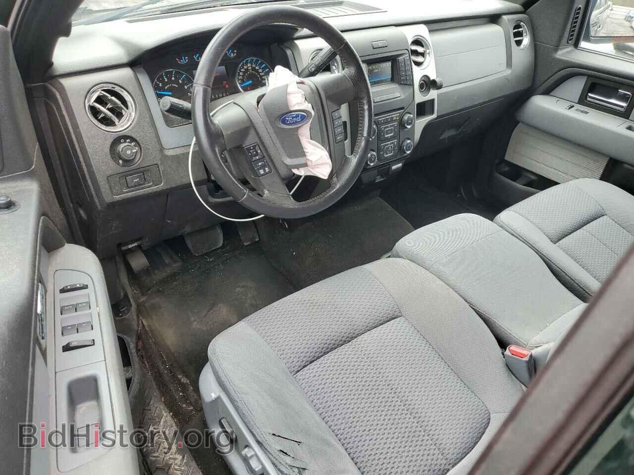 2013 FORD F-150 - VIN: 1FTFX1EF7DFC96386 - Фото 8