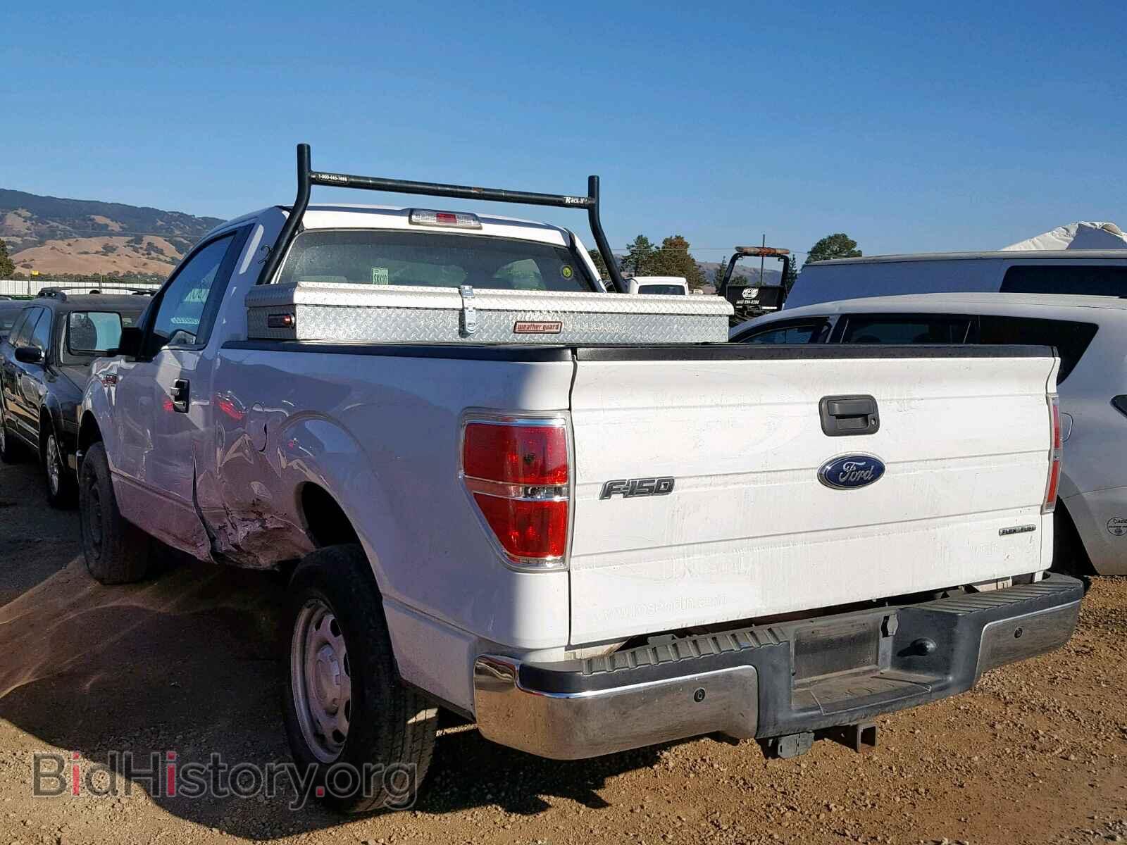 2013 FORD F150 - VIN: 1FTMF1CF2DKD43599 - Фото 3