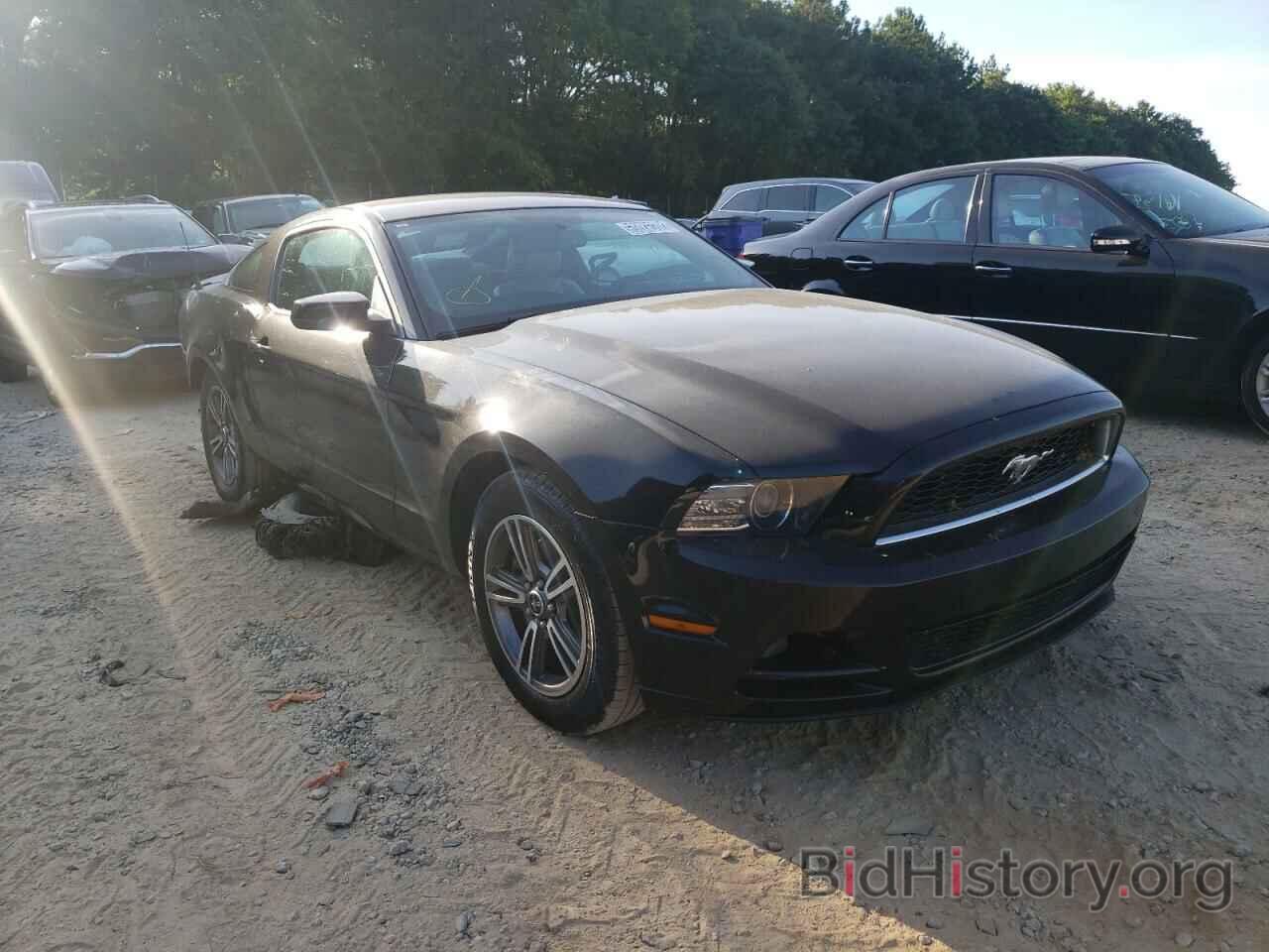 Photo 1ZVBP8AM8D5204216 - FORD MUSTANG 2013