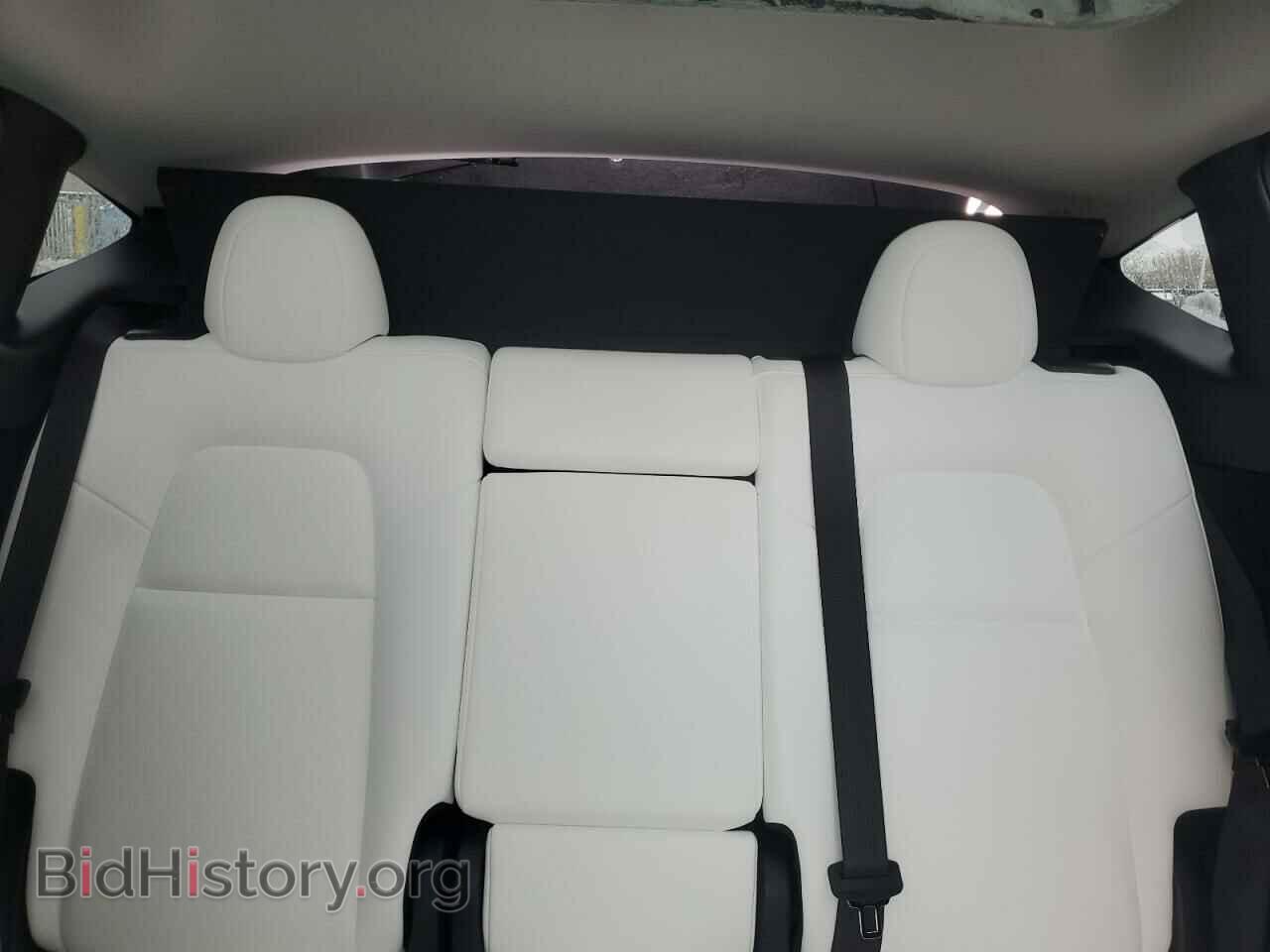 2024 TESLA MODEL Y - VIN: 7SAYGDEE2RF160327 - Photo 10