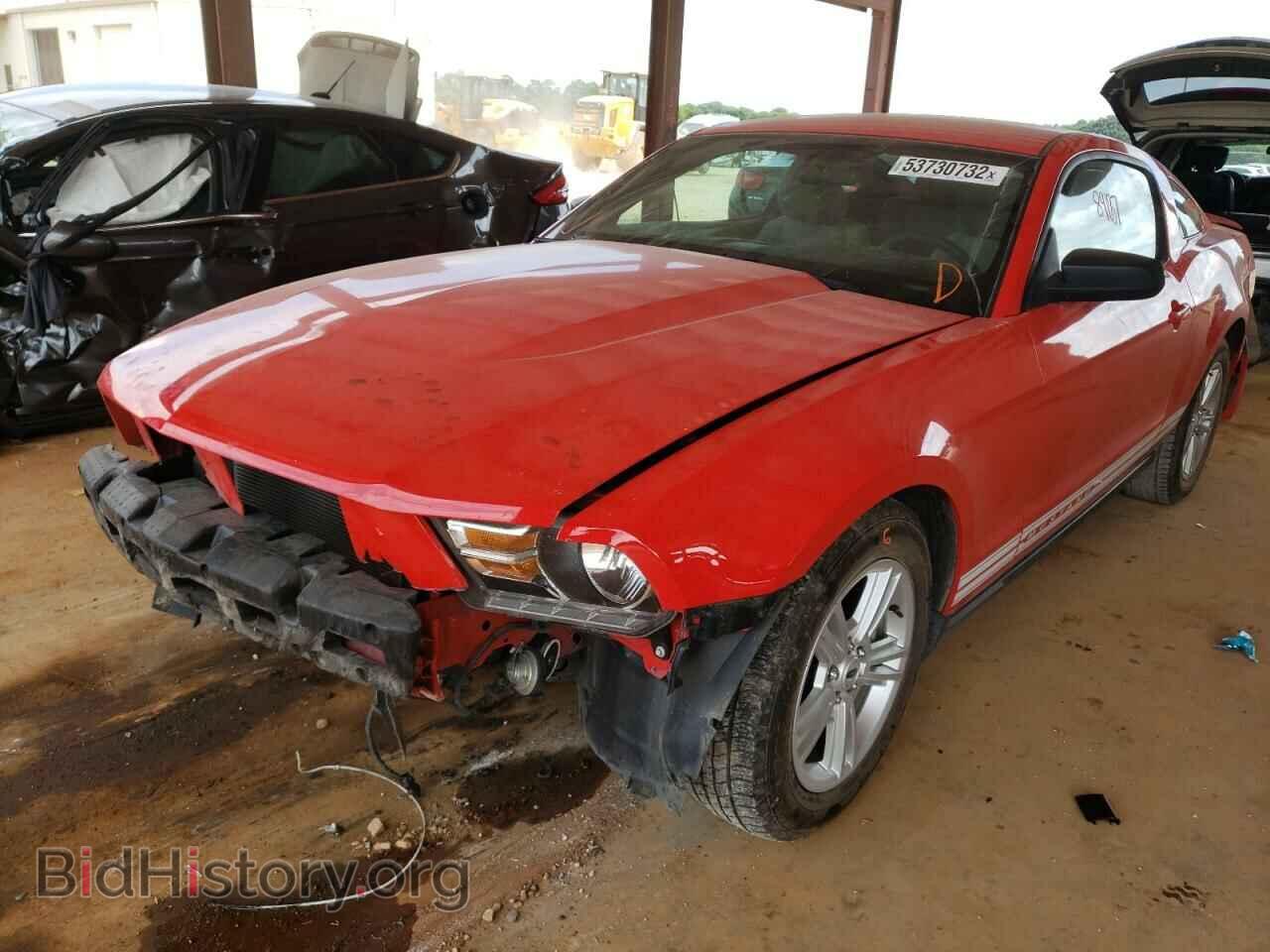 2012 FORD MUSTANG - VIN: 1ZVBP8AM8C5284096 - Фото 2