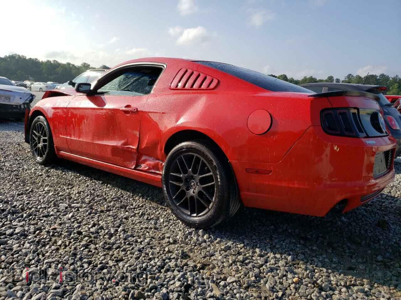 2014 FORD ALL Models - VIN: 1ZVBP8AMXE5249854 - Фото 2