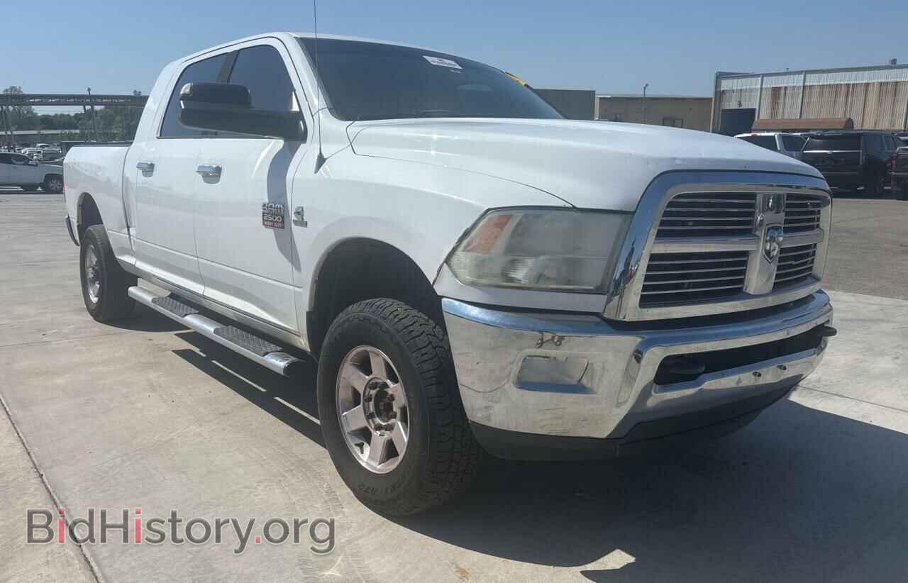 Photo 3D7UT2HL9BG601253 - DODGE All Models 2011