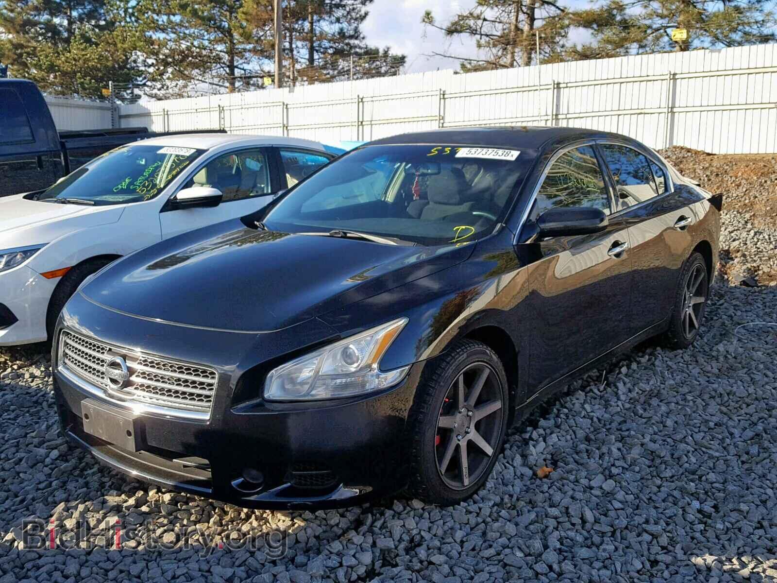 2009 NISSAN MAXIMA S - VIN: 1N4AA51E69C850998 - Фото 2