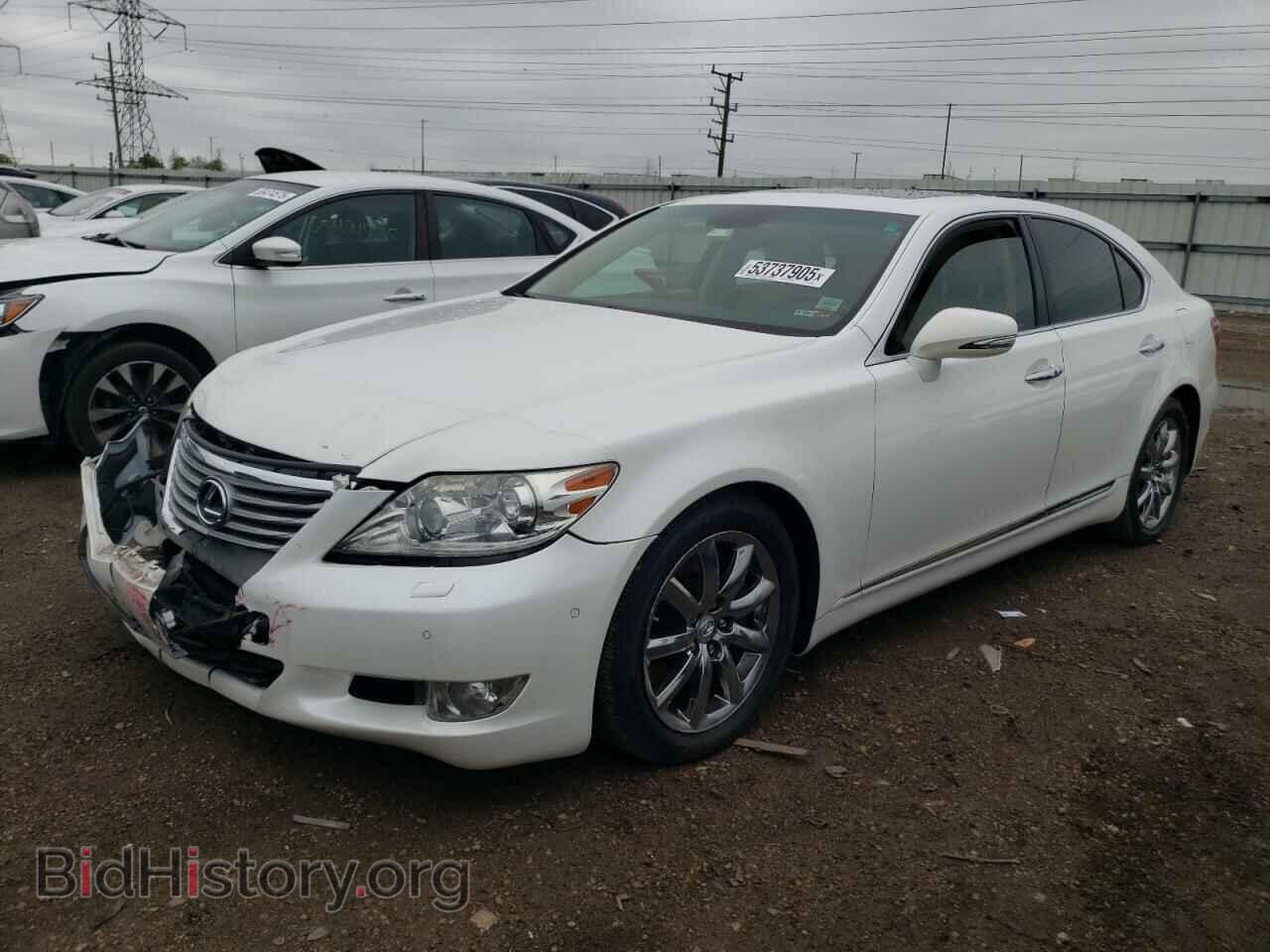 Фотография JTHCL5EF7A5008324 - LEXUS LS460 2010