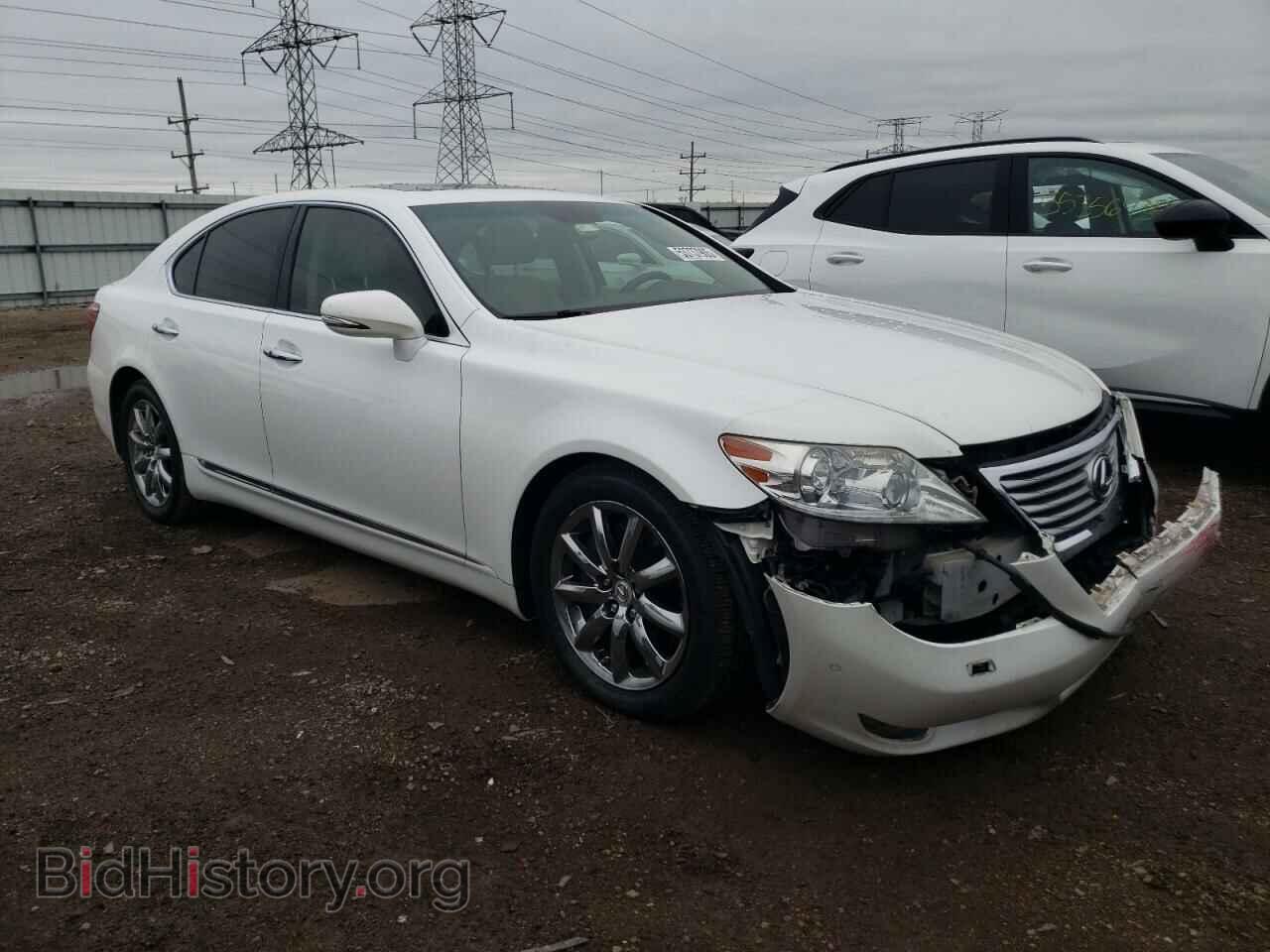 2010 LEXUS LS460 - VIN: JTHCL5EF7A5008324 - Фото 4