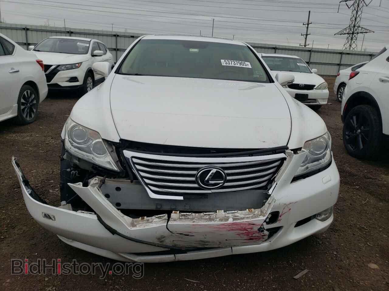 2010 LEXUS LS460 - VIN: JTHCL5EF7A5008324 - Фото 5