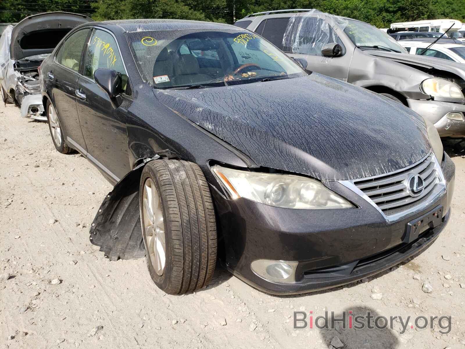 Photo JTHBK1EG1A2351678 - LEXUS ES350 2010