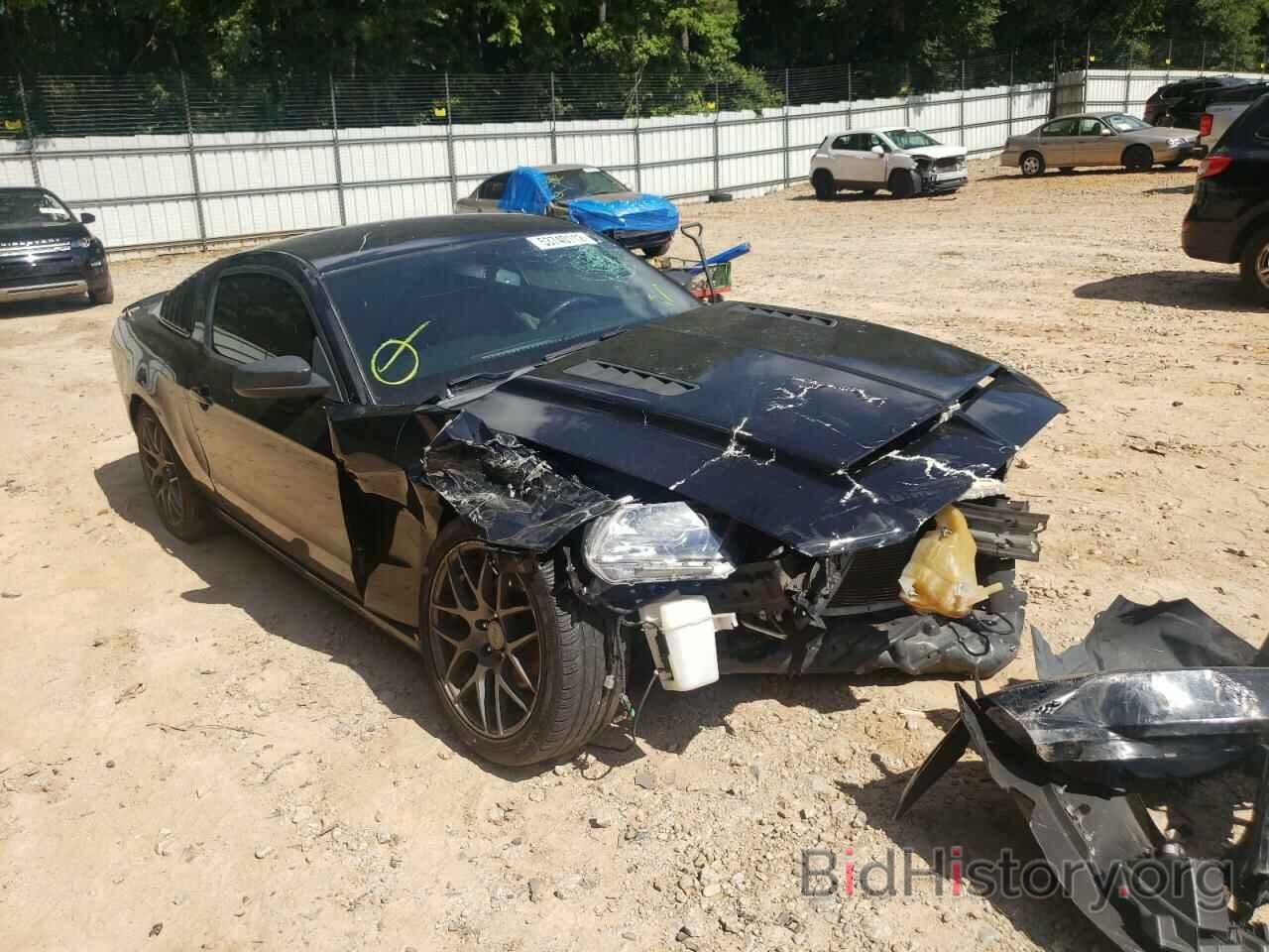 Photo 1ZVBP8AM7E5269494 - FORD MUSTANG 2014