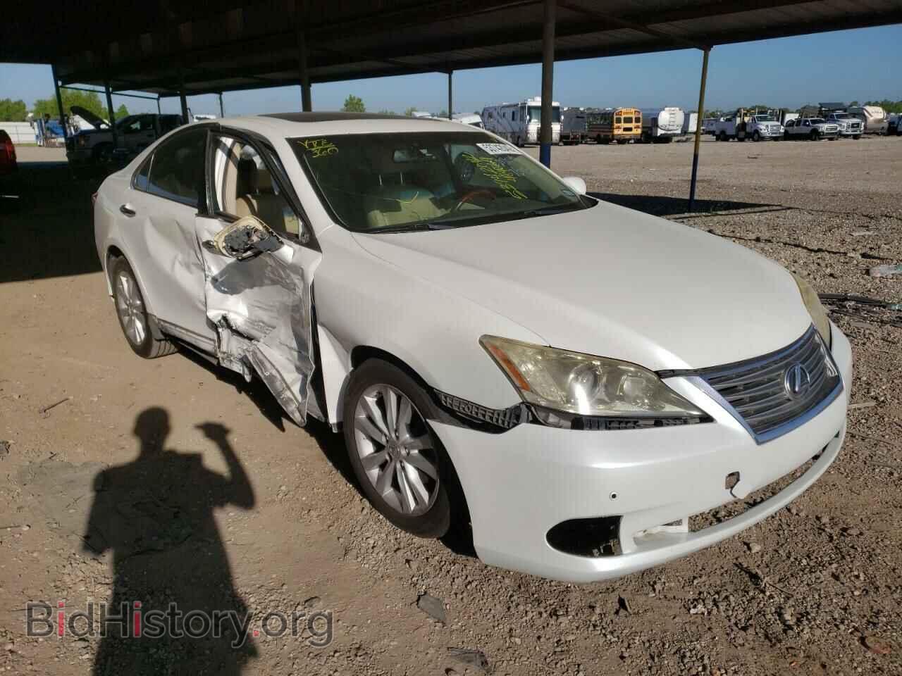 Photo JTHBK1EG1C2484069 - LEXUS ES350 2012