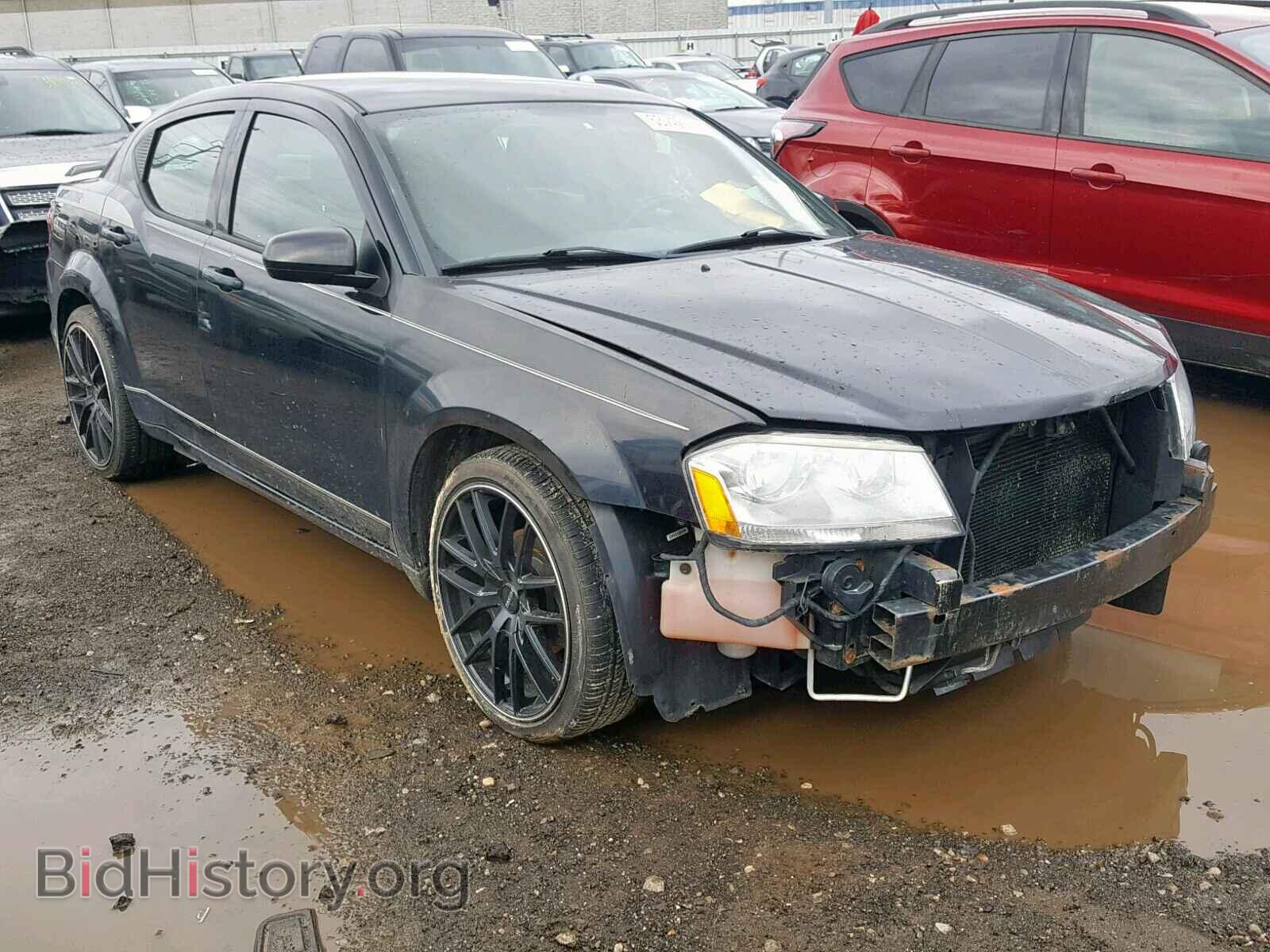 Фотография 1B3BD1FB6BN559071 - DODGE AVENGER 2011