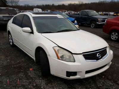 2008 Nissan MAXIMA Maxima SE, белый — VIN 1N4BA41E98C815191, Copart