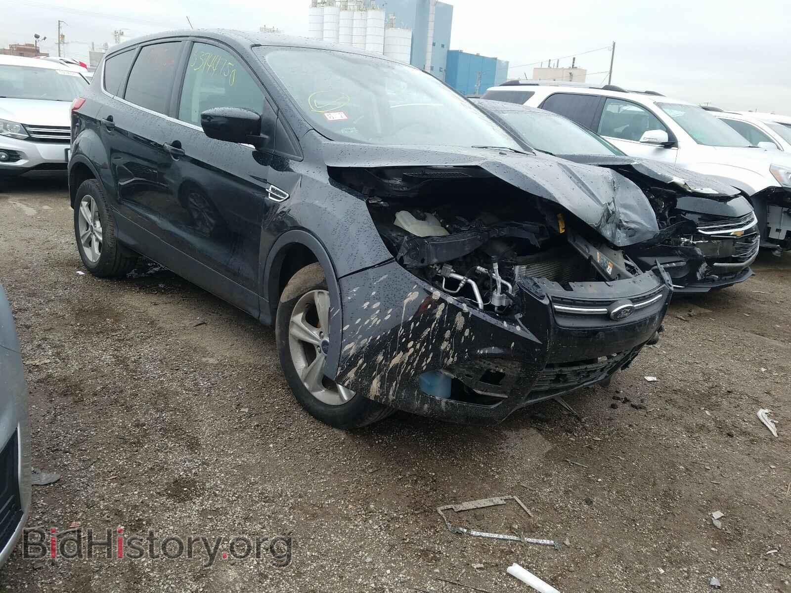 Фотография 1FMCU0GX3EUA67479 - FORD ESCAPE 2014