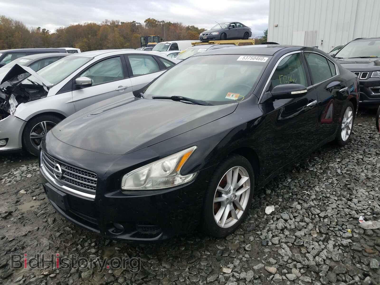 2011 NISSAN MAXIMA - VIN: 1N4AA5AP7BC864190 - Фото 2