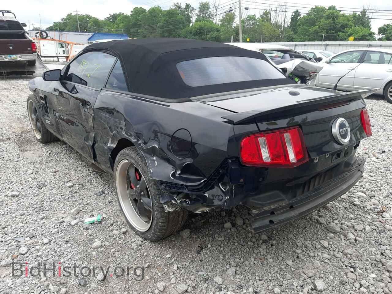 2011 FORD MUSTANG - VIN: 1ZVBP8FF4B5156432 - Фото 3