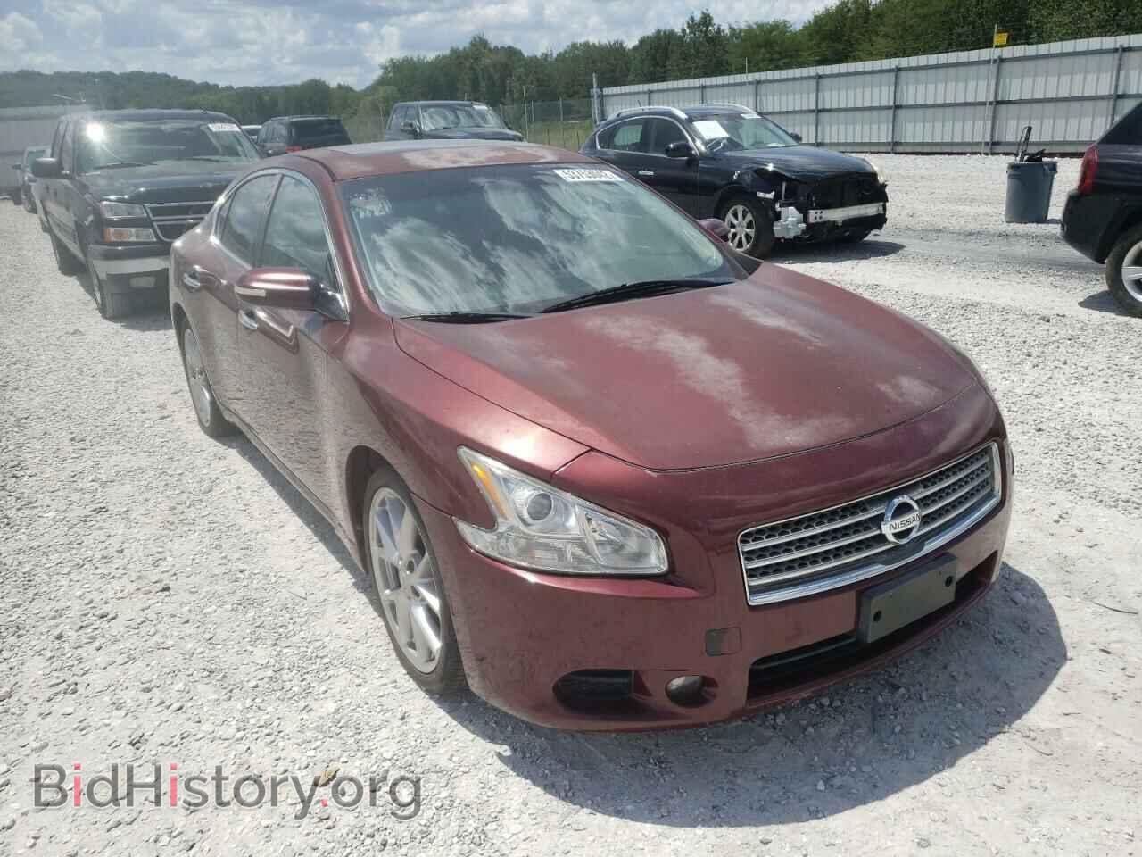 Photo 1N4AA5AP3AC852603 - NISSAN MAXIMA 2010