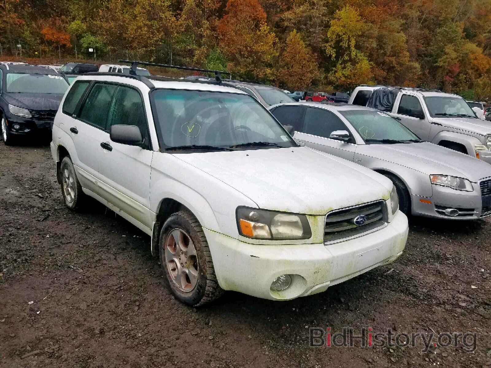 Photo JF1SG65633H752288 - SUBARU FORESTER 2003