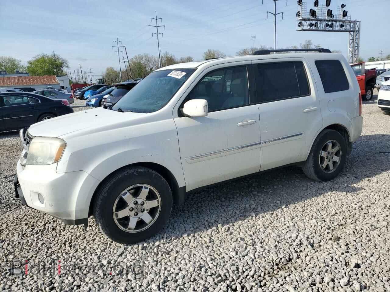 Photo 5FNYF4H98BB063430 - HONDA PILOT 2011