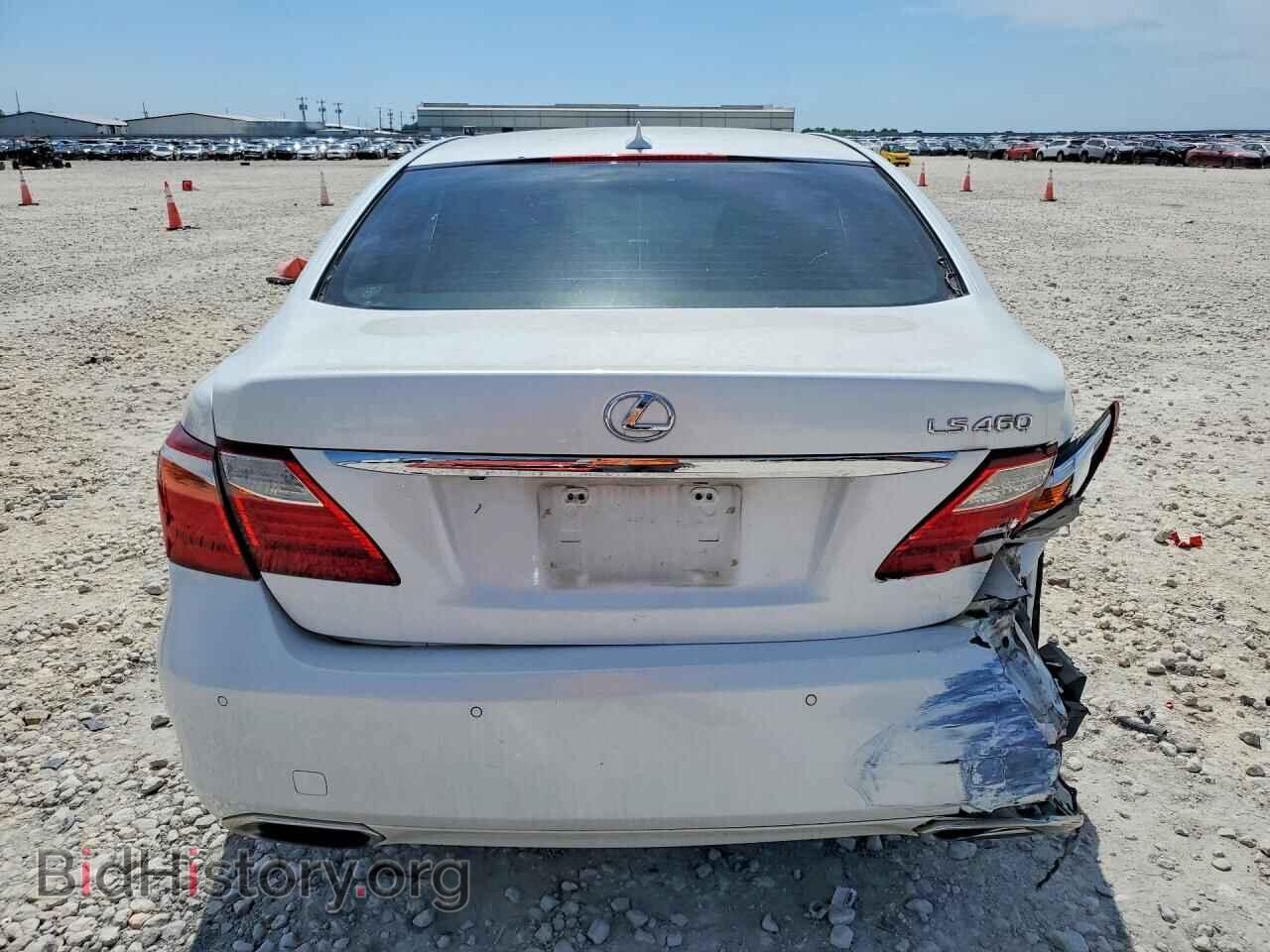 2011 LEXUS LS460 - VIN: JTHBL5EFXB5103019 - Фото 6