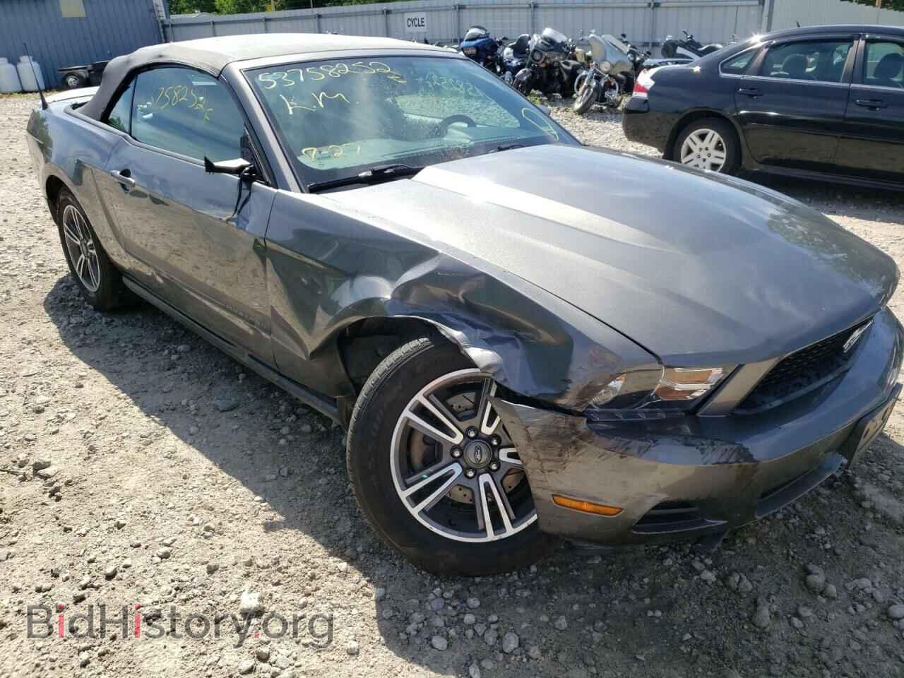 2011 FORD MUSTANG - VIN: 1ZVBP8EM0B5159456 - Фото 9