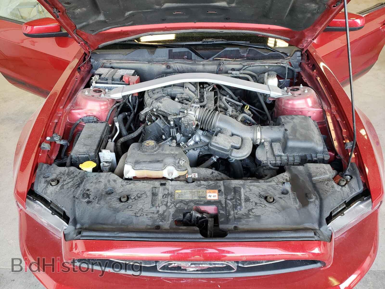 2013 FORD MUSTANG - VIN: 1ZVBP8EM8D5238926 - Фото 7