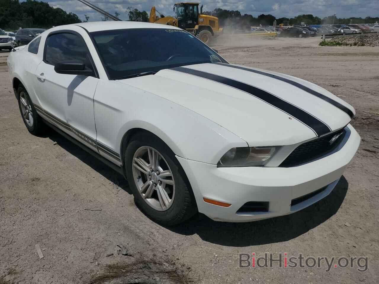 Photo 1ZVBP8AN2A5147967 - FORD MUSTANG 2010