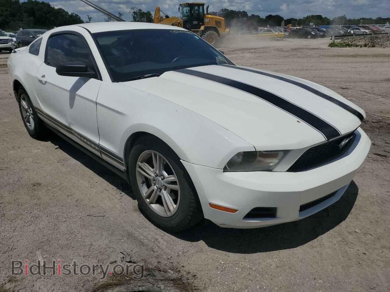 Фотография 1ZVBP8AN2A5147967 - FORD MUSTANG 2010