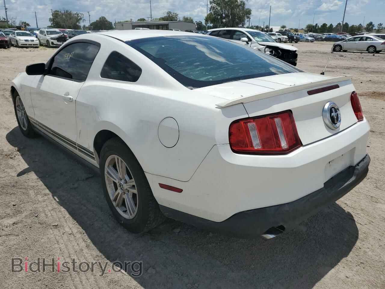 2010 FORD MUSTANG - VIN: 1ZVBP8AN2A5147967 - Фото 3