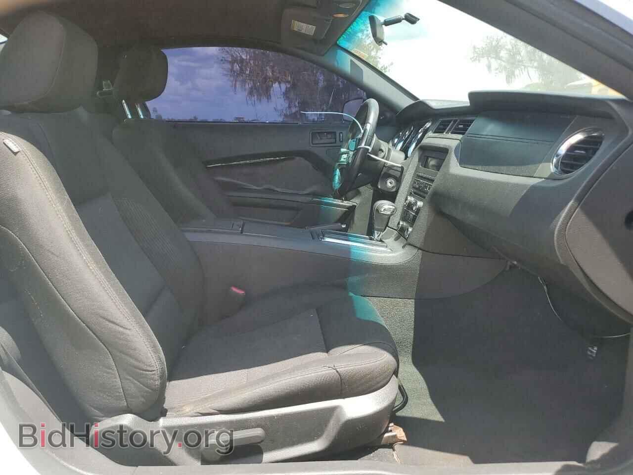 2010 FORD MUSTANG - VIN: 1ZVBP8AN2A5147967 - Фото 5