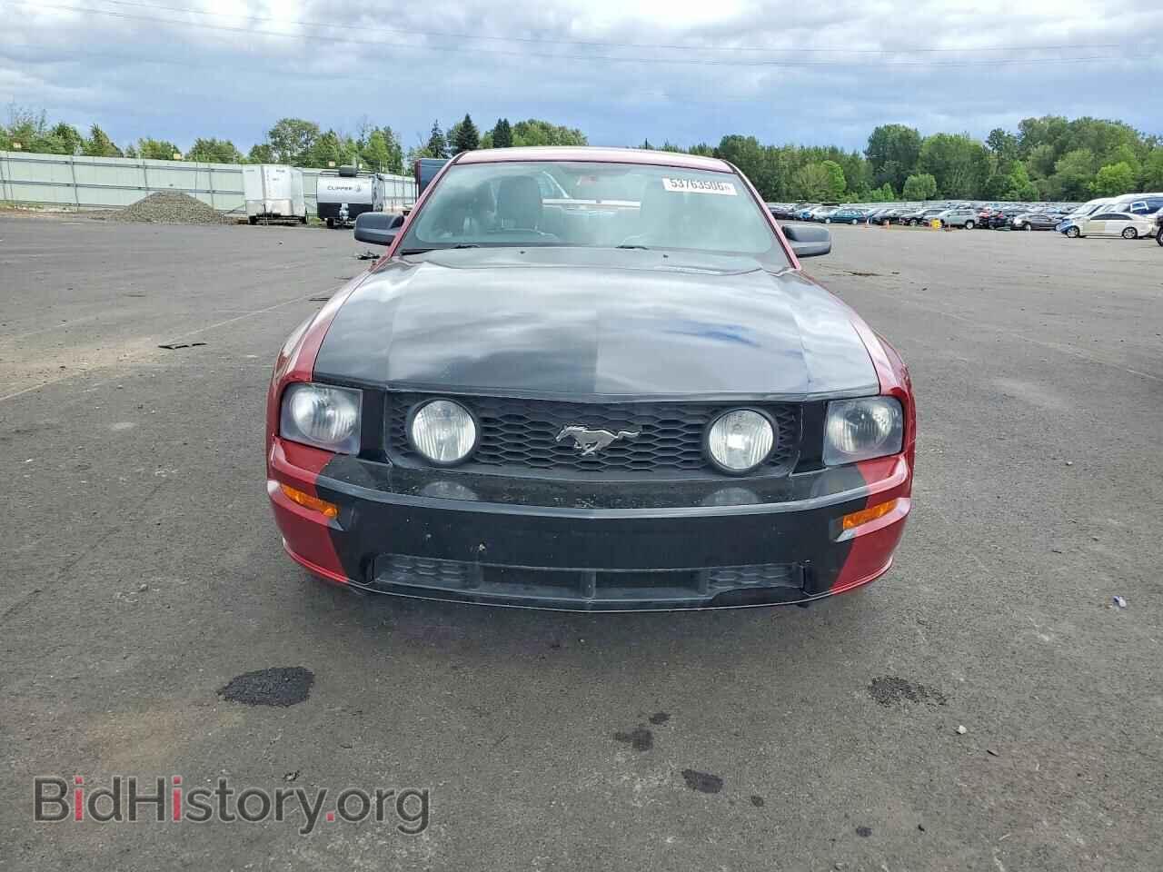 2005 FORD MUSTANG - VIN: 1ZVFT82HX55241235 - Фото 5