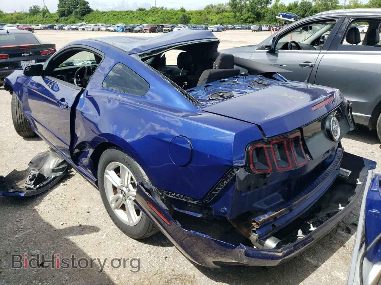 2014 FORD MUSTANG - VIN: 1ZVBP8AM3E5231406 - Фото 3