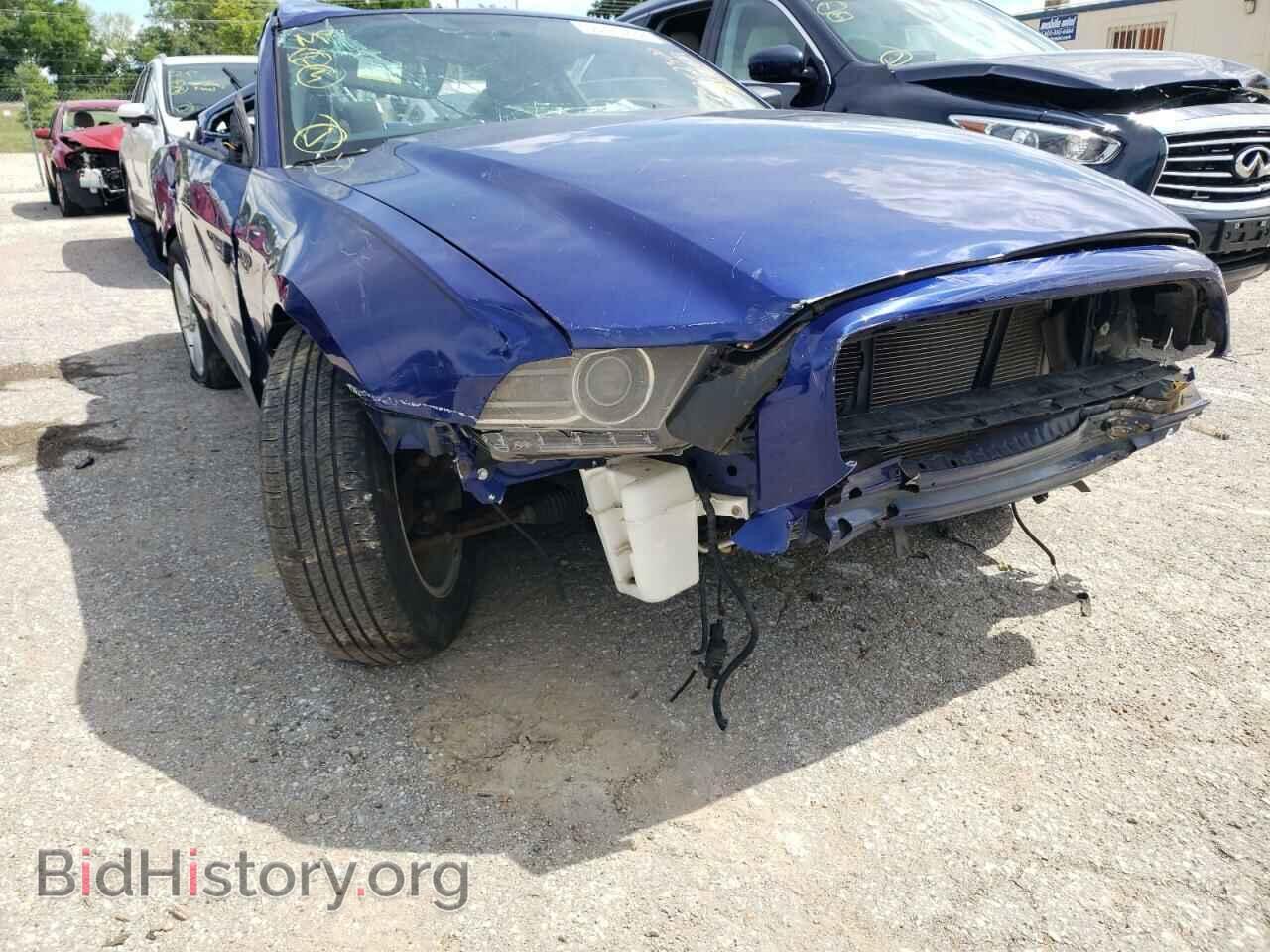 2014 FORD MUSTANG - VIN: 1ZVBP8AM3E5231406 - Фото 9