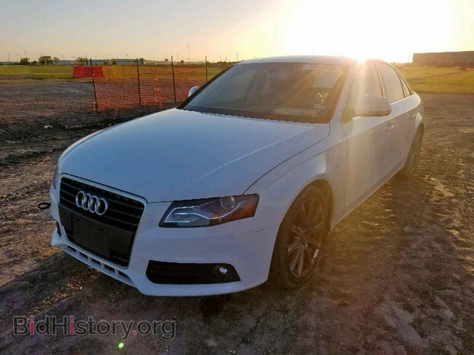 2009 AUDI A4 - VIN: WAUCF78K59N051954 - Фото 2