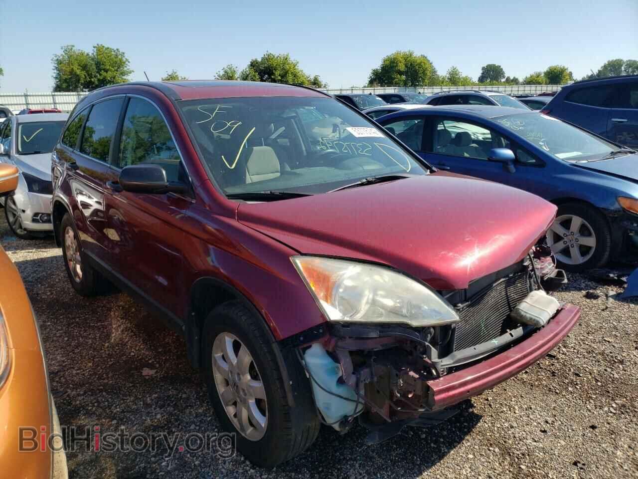 Photo 3CZRE48509G700104 - HONDA CRV 2009