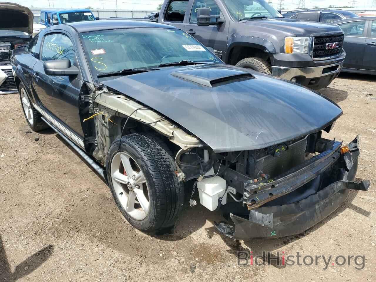 Photo 1ZVHT80N775317014 - FORD MUSTANG 2007