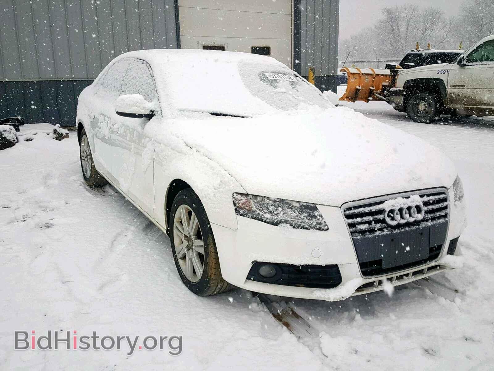 Фотография WAUBFAFL0AN039218 - AUDI A4 2010