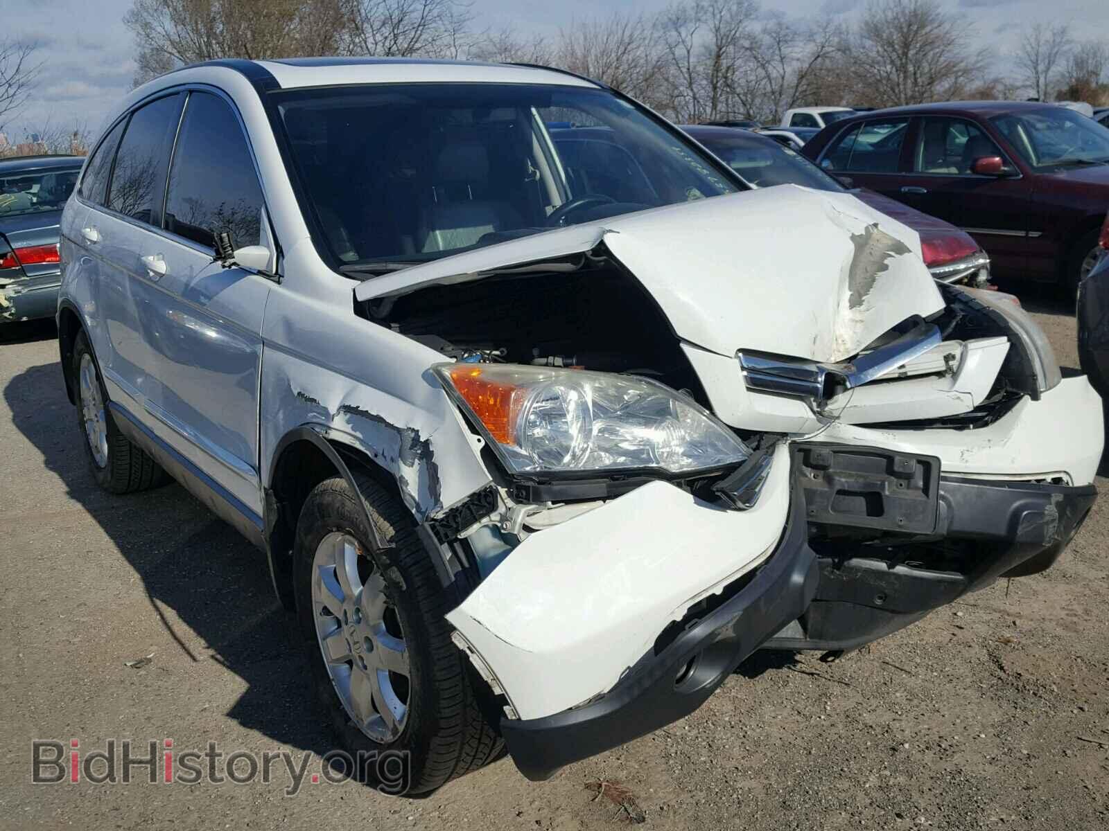 Фотография JHLRE48768C018775 - HONDA CR-V EXL 2008