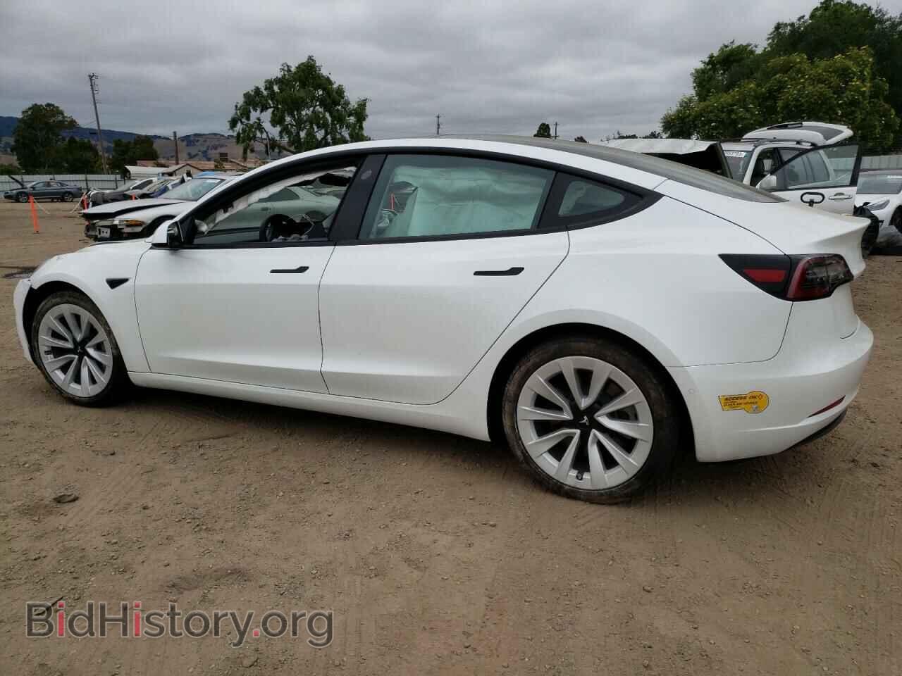 2021 TESLA MODEL 3 - VIN: 5YJ3E1EA1MF079076 - Photo 2