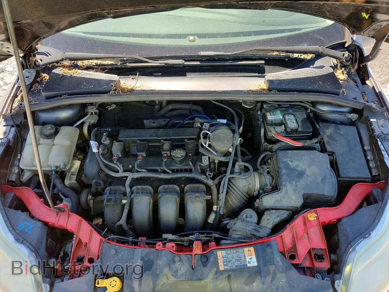 2014 FORD FOCUS - VIN: 1FADP3F29EL235709 - Photo 11