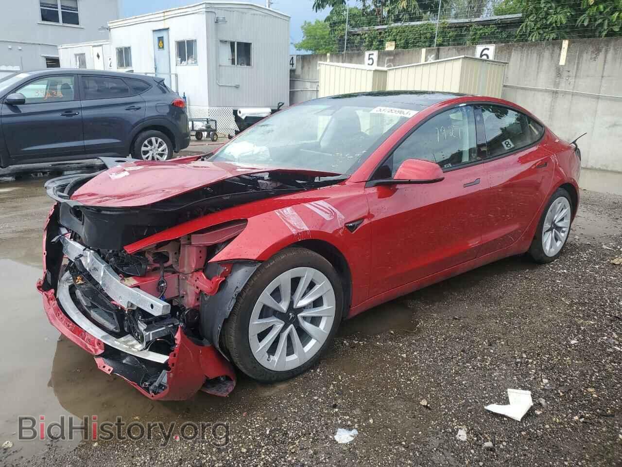 Photo 5YJ3E1EA8MF921931 - TESLA MODEL 3 2021
