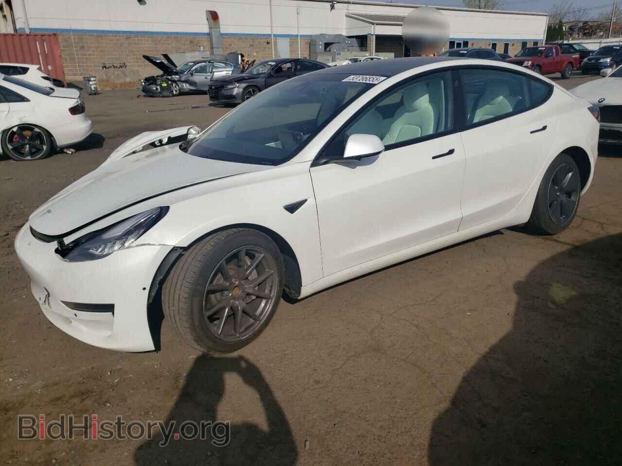 Photo 5YJ3E1EA7MF853816 - TESLA MODEL 3 2021