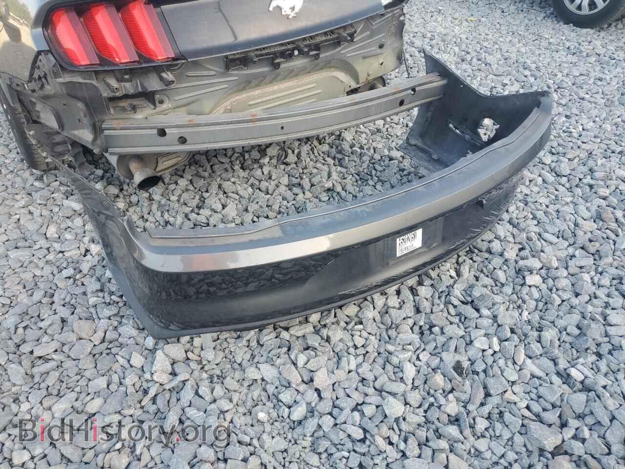 2017 FORD ALL Models - VIN: 1FA6P8TH3H5202051 - Фото 12