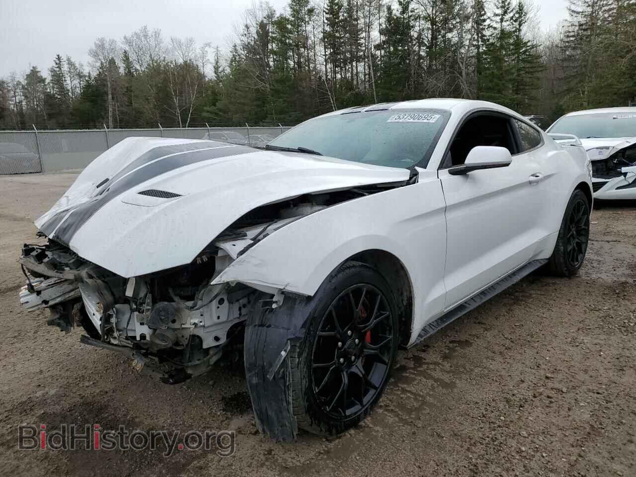 Photo 1FA6P8TH2J5141846 - FORD ALL Models 2018
