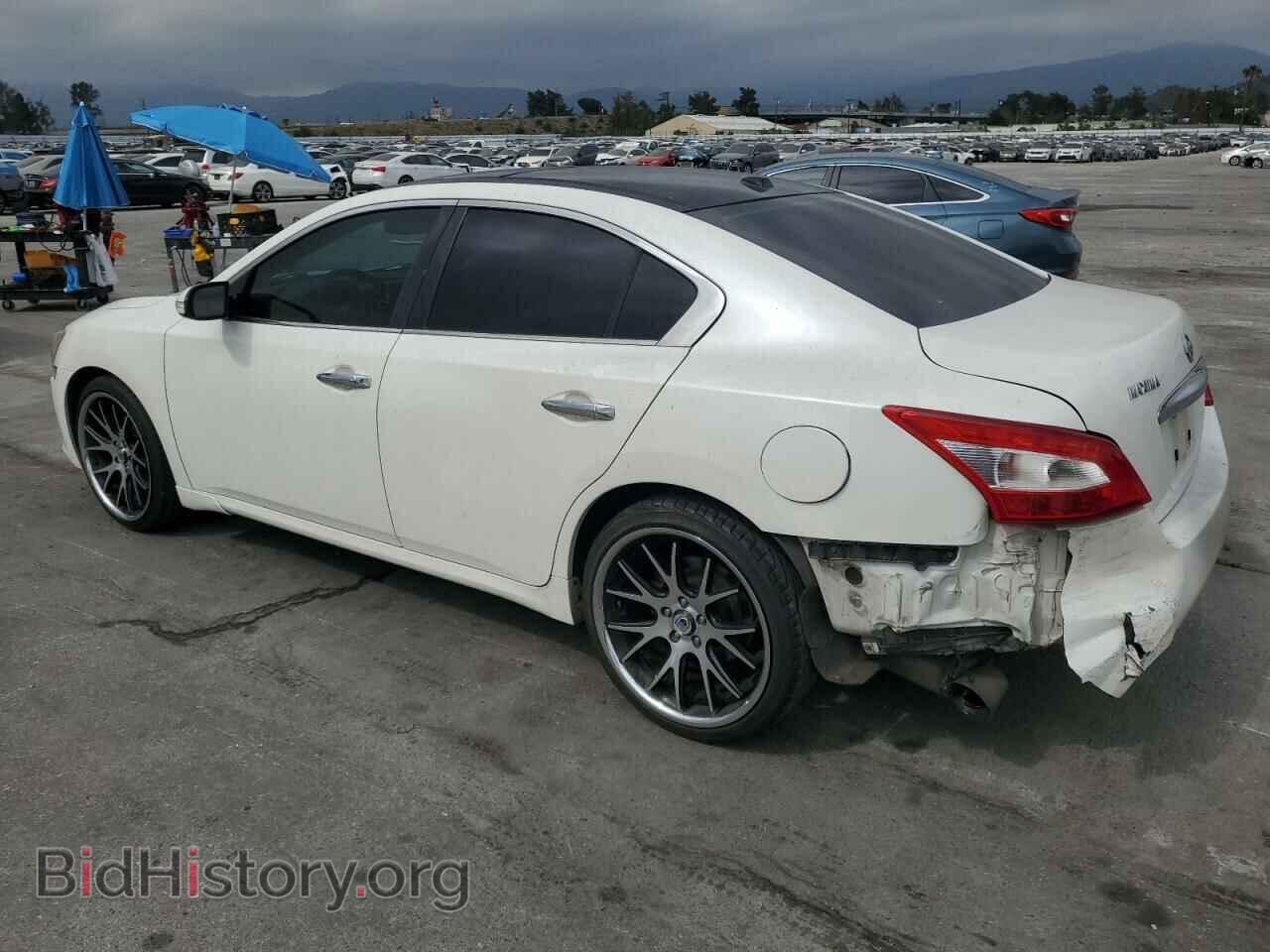 2009 NISSAN MAXIMA - VIN: 1N4AA51E69C809139 - Фото 2