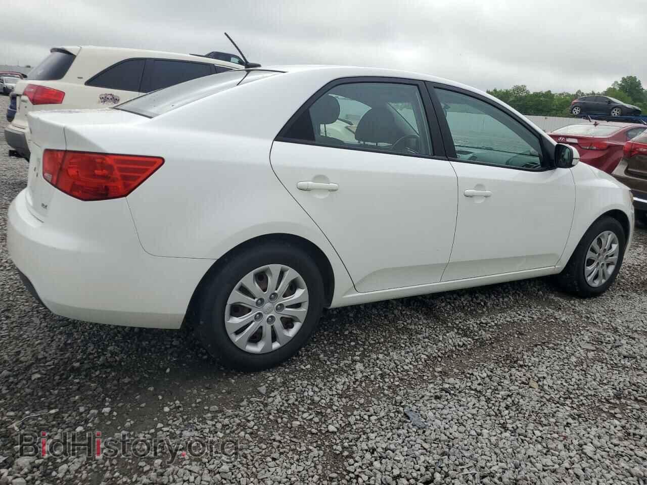 2013 KIA FORTE - VIN: KNAFU4A22D5698249 - Фото 3