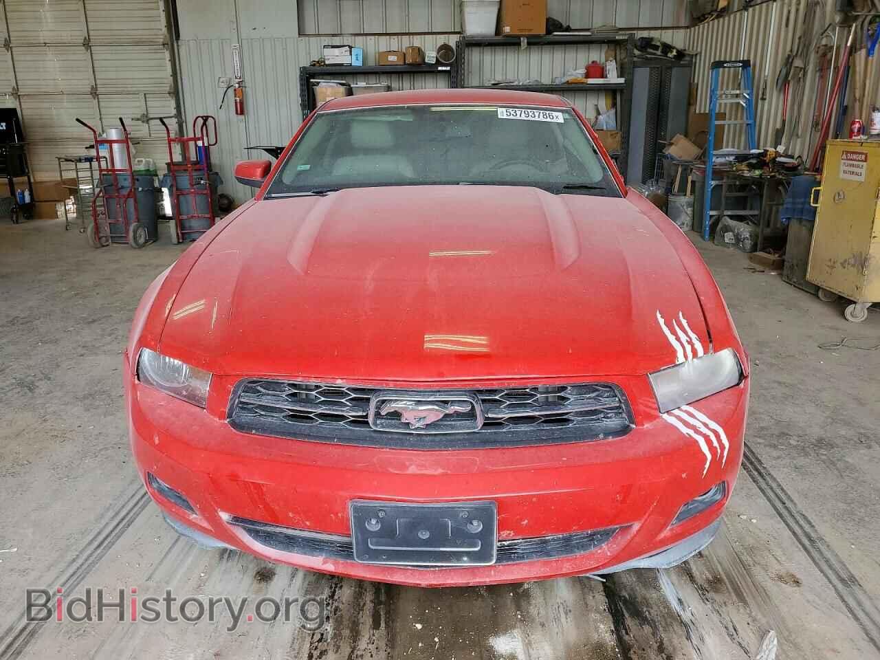 2011 FORD MUSTANG - VIN: 1ZVBP8AM9B5115011 - Фото 5