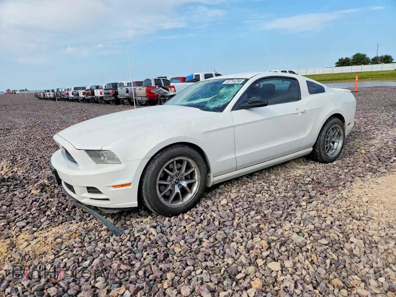 Фотография 1ZVBP8AM1D5269621 - FORD MUSTANG 2013
