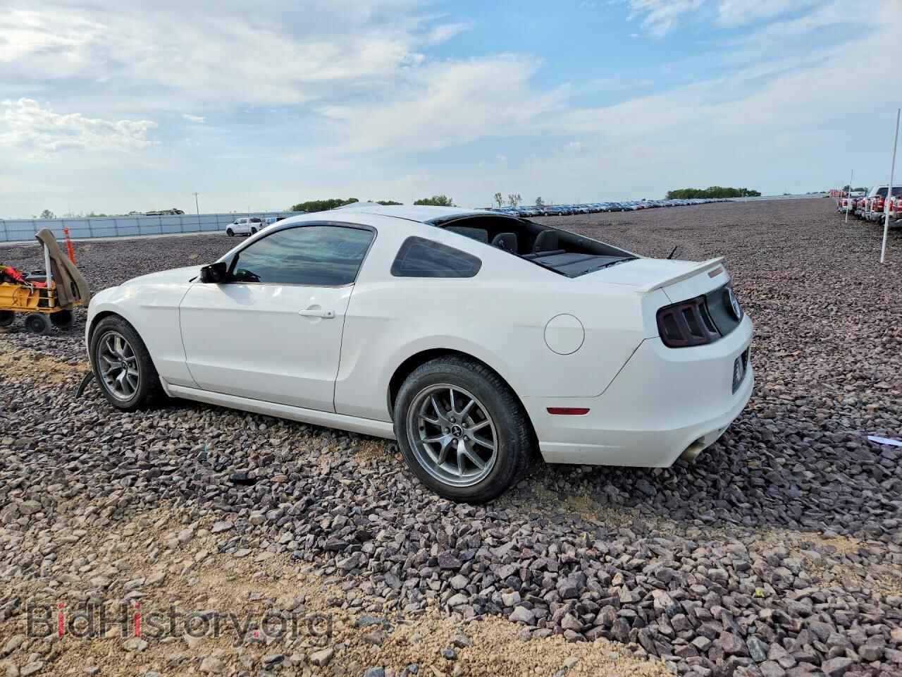 2013 FORD MUSTANG - VIN: 1ZVBP8AM1D5269621 - Photo 2