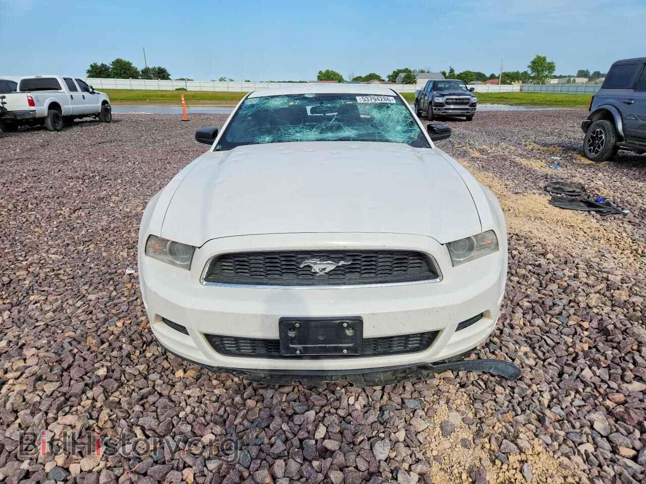 2013 FORD MUSTANG - VIN: 1ZVBP8AM1D5269621 - Photo 5
