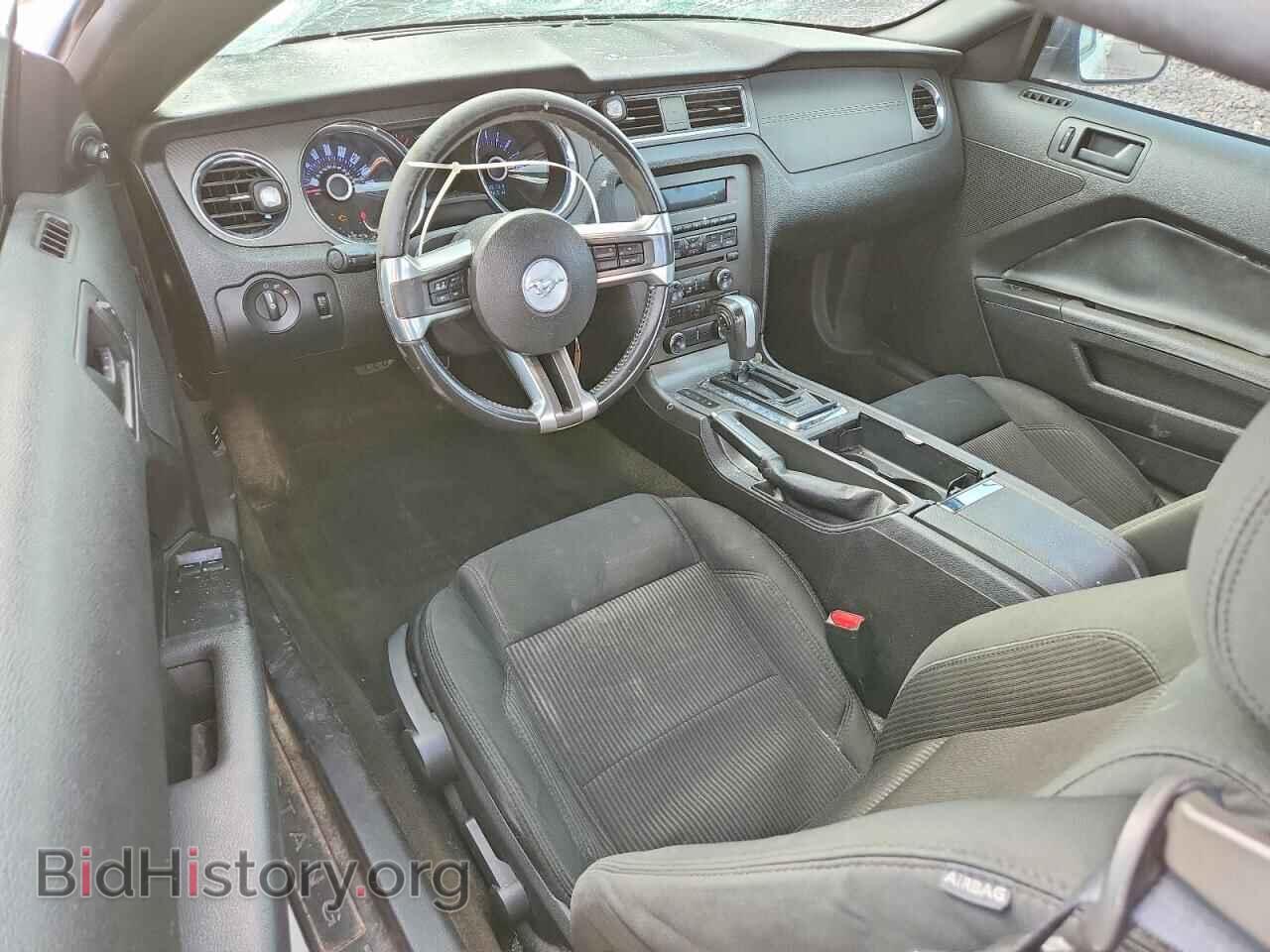 2013 FORD MUSTANG - VIN: 1ZVBP8AM1D5269621 - Photo 8